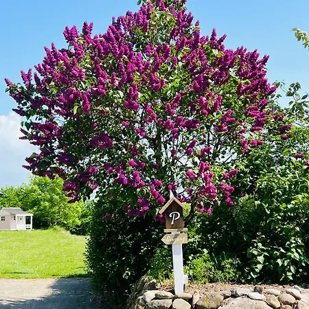 Mayland Appartement Humptrup