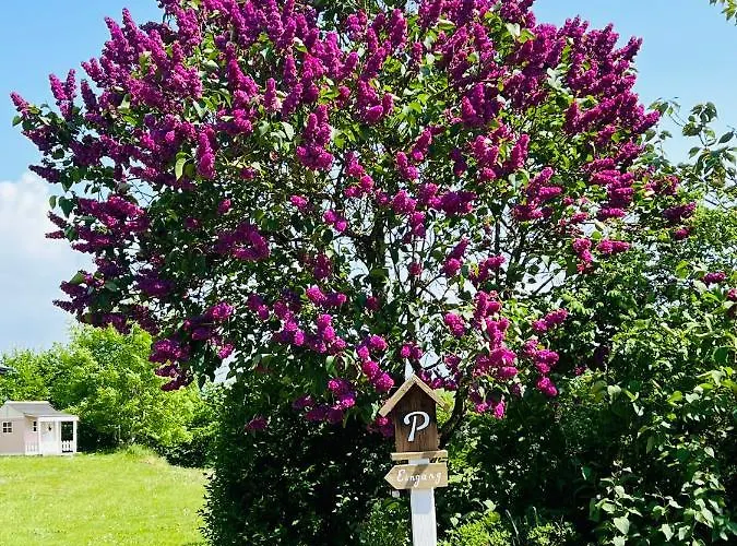 In Idyllischer Lage - Ankommen & Durchatmen Apartamento Humptrup